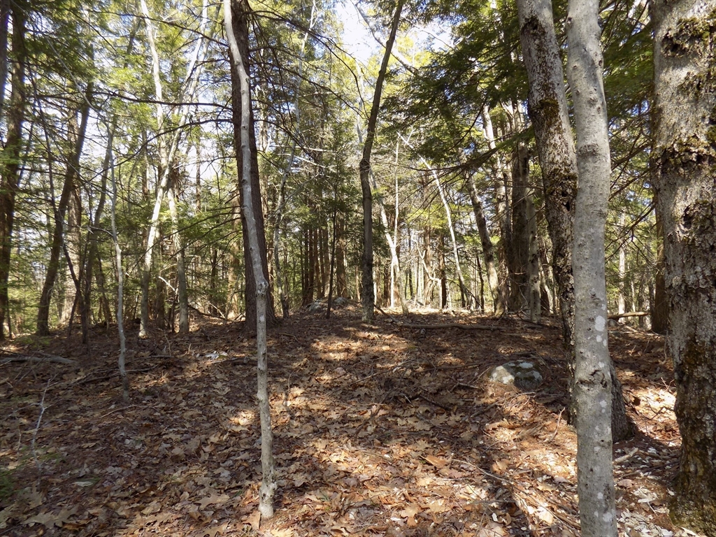 Lot 7 Skyline Ridge Road Becket, MA 01223 - Photo 11 of 14
