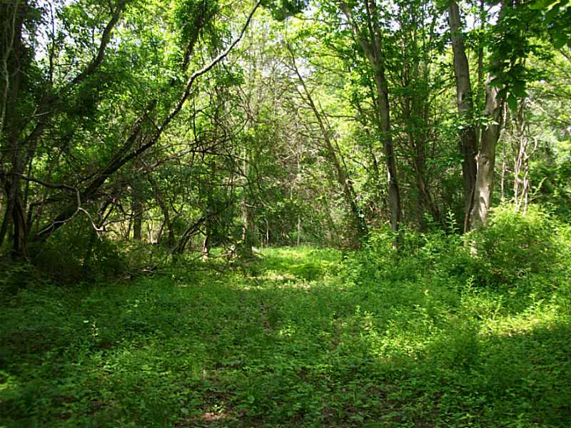 536 Highland Road Tiverton, RI 02878 - Photo 3 of 3 View.