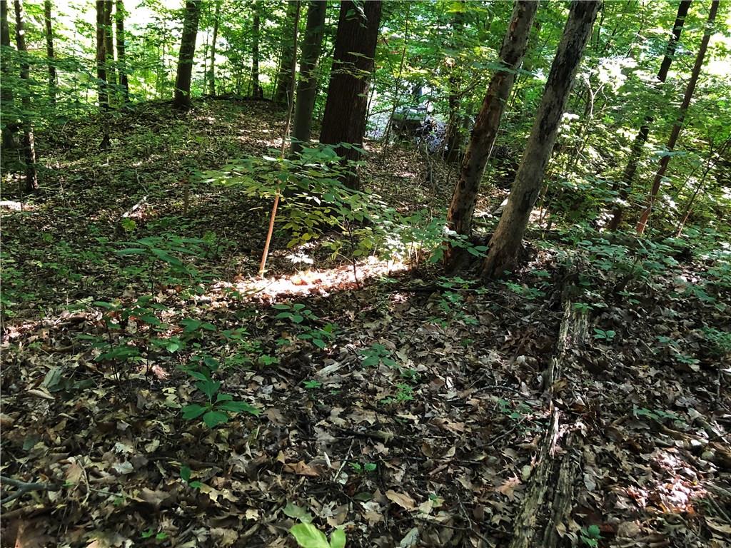 0 East North Point Road Martinsville, IN 46151 - Photo 6 of 29