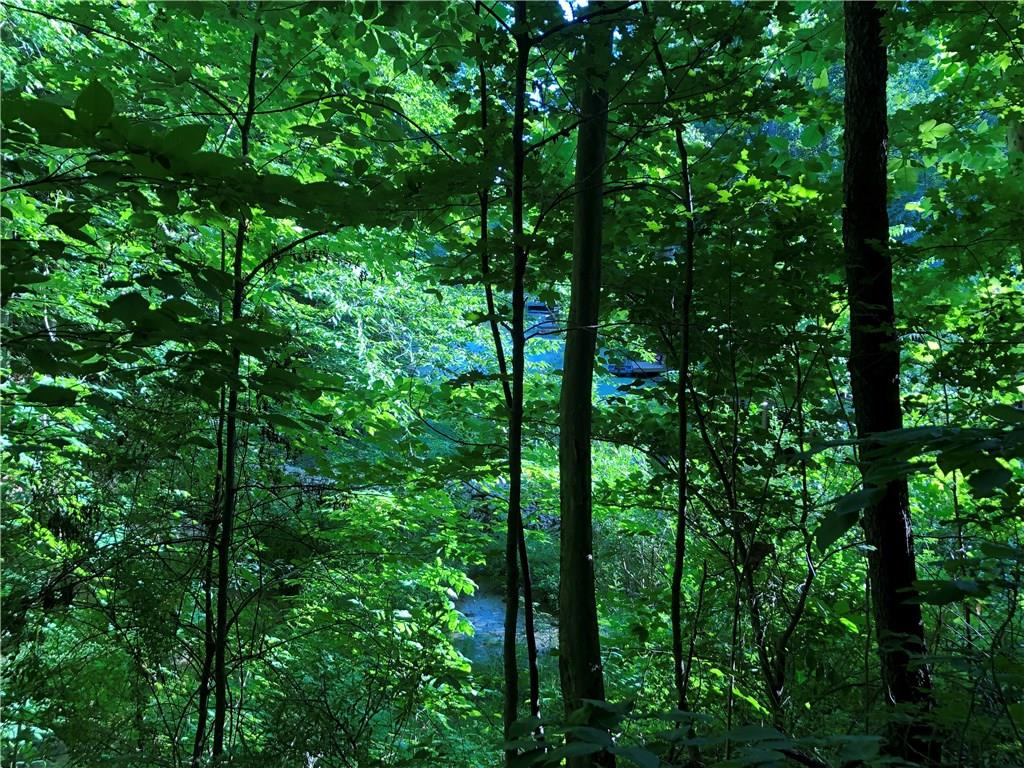 0 East North Point Road Martinsville, IN 46151 - Photo 7 of 29