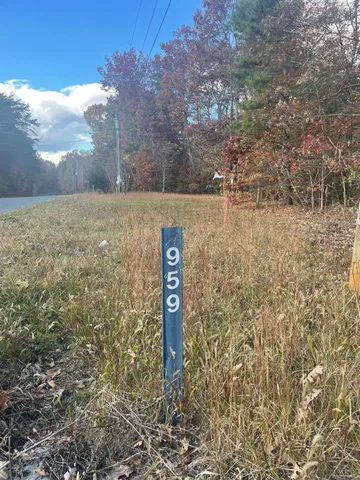 a view of a yard with trees