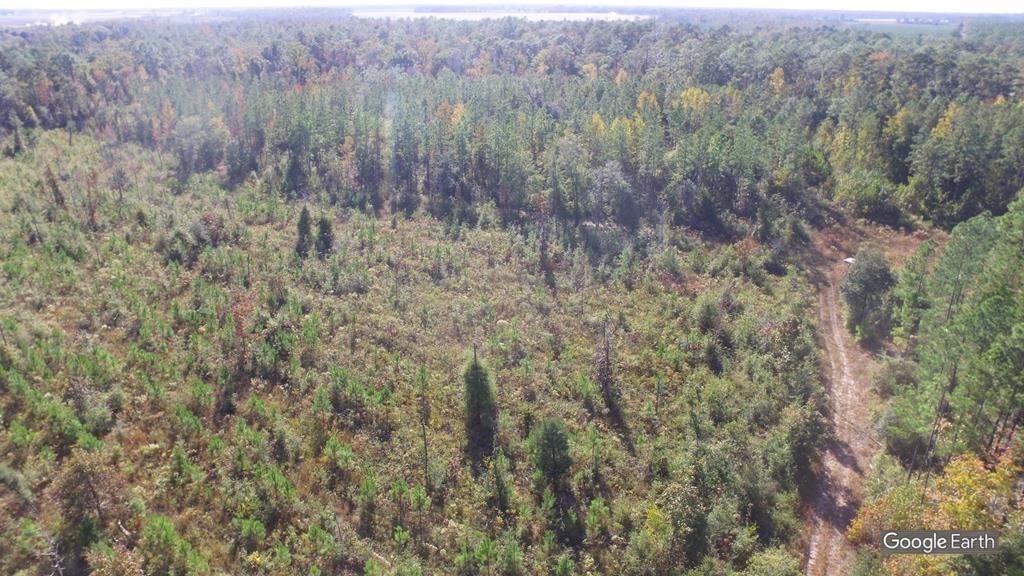 0 Greenhouse Road Gordon, AL 36343 - Photo 9 of 38