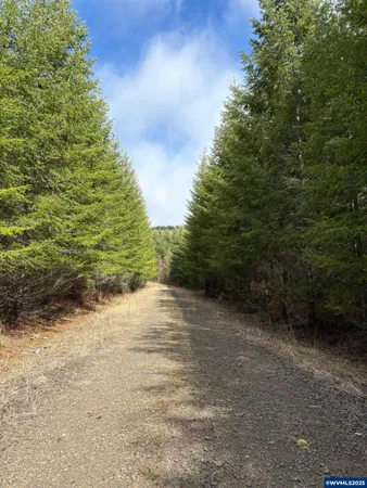 $499,000 | 0 Boiler Creek Road, Springfield, OR 97478