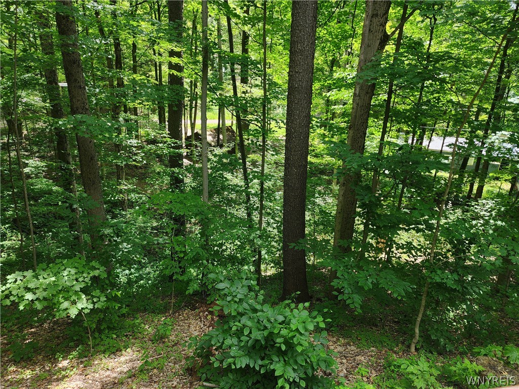 16 Hemlock Road Sheldon, NY 14167 - Photo 27 of 33
