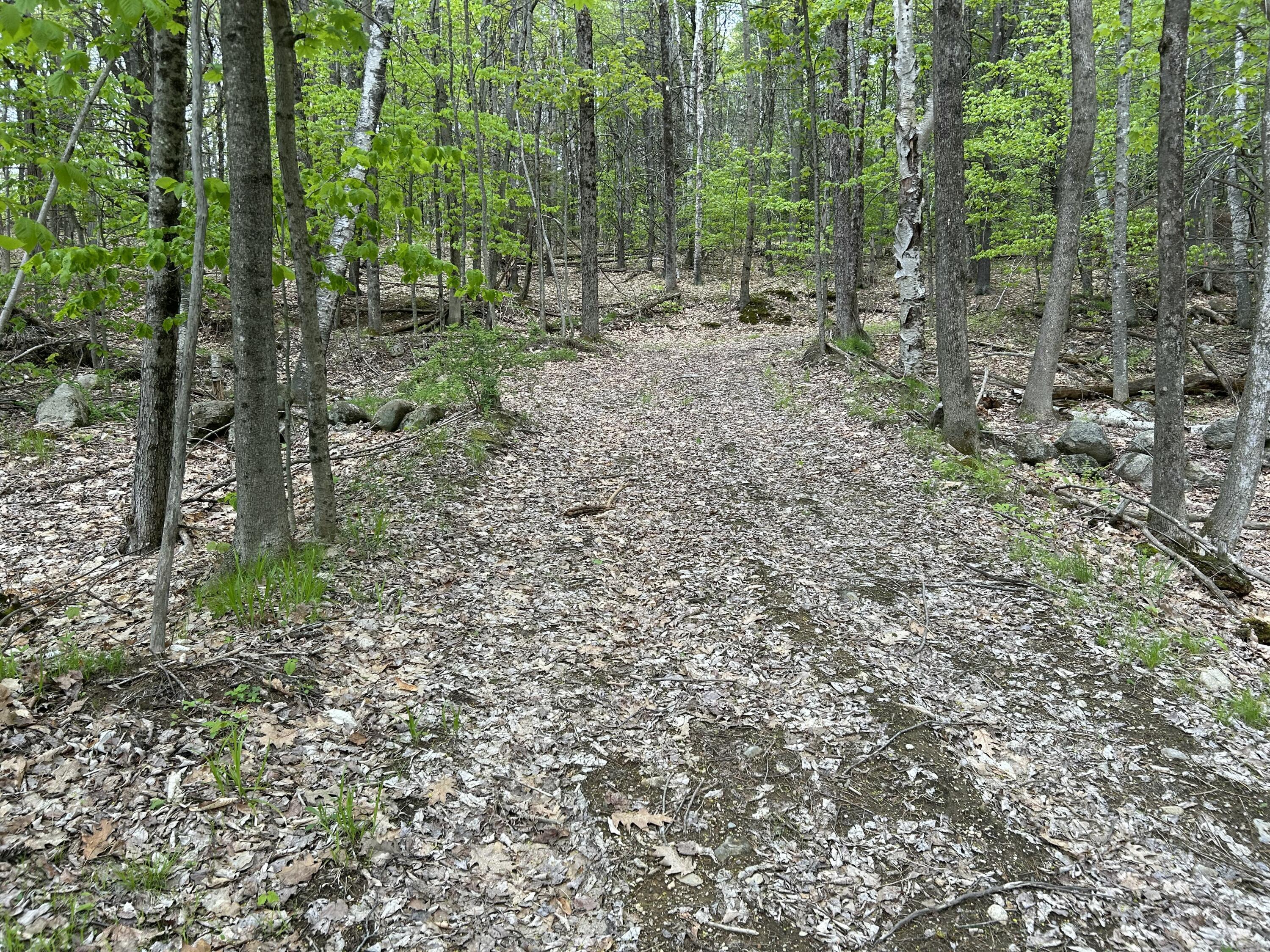 281 Randall Road Lewiston, ME 04240 - Photo 4 of 31