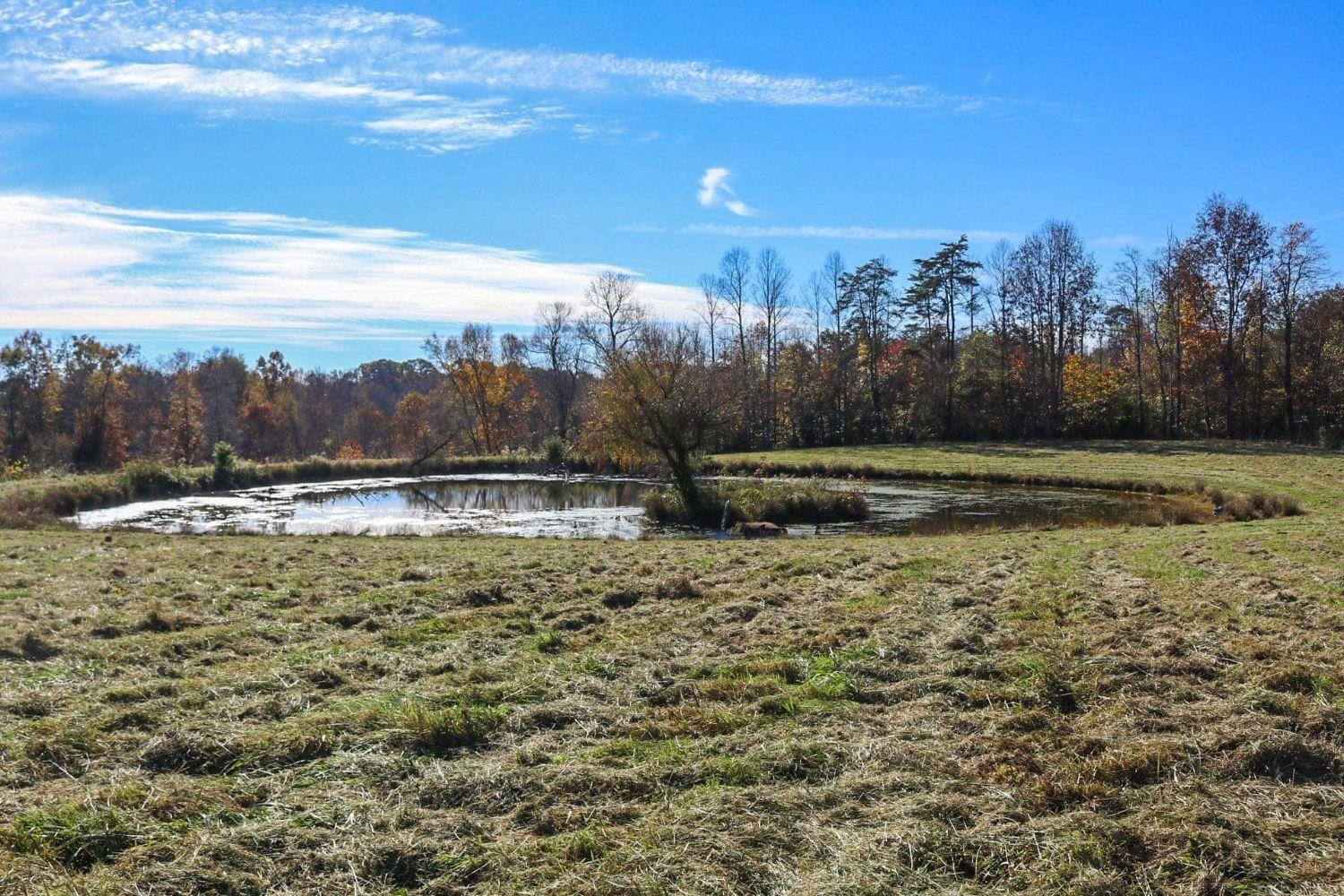 0 Red Fox Road Williamsburg, KY 40769 - Photo 7 of 9 Photo 7
