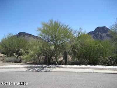 3472 South Thunder Chorus Road Tucson, AZ 85713 - Photo 29 of 29