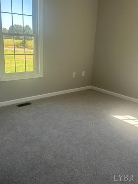 4339 Pin Oak Road Prospect, VA 23960 - Photo 11 of 15 Gallery Image 11