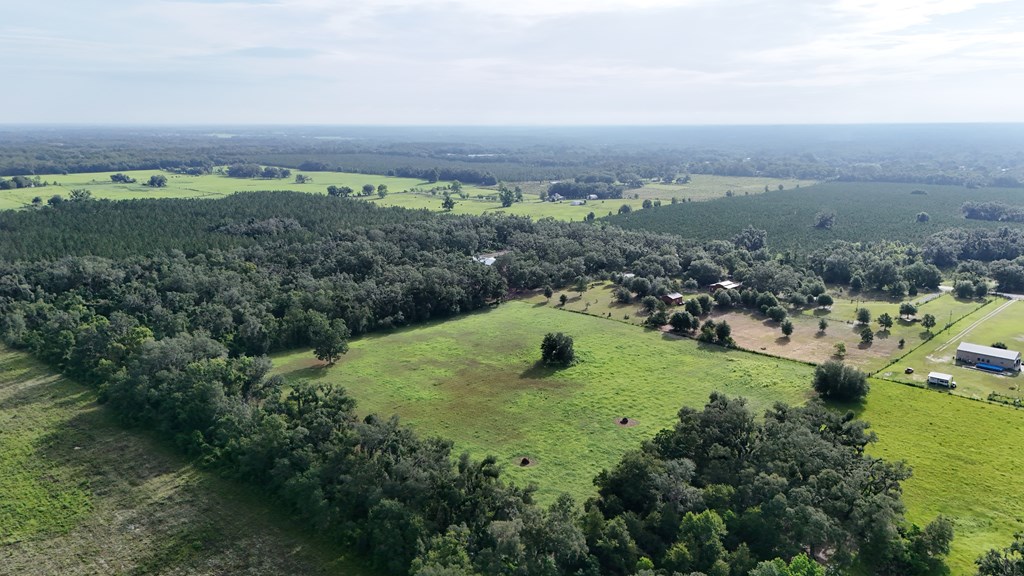 Vacant 145th Road Live Oak, FL 32060 - Photo 11 of 42