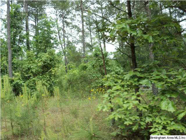 485 County Road, Unit 110 Clanton, AL 35046 - Photo 21 of 22