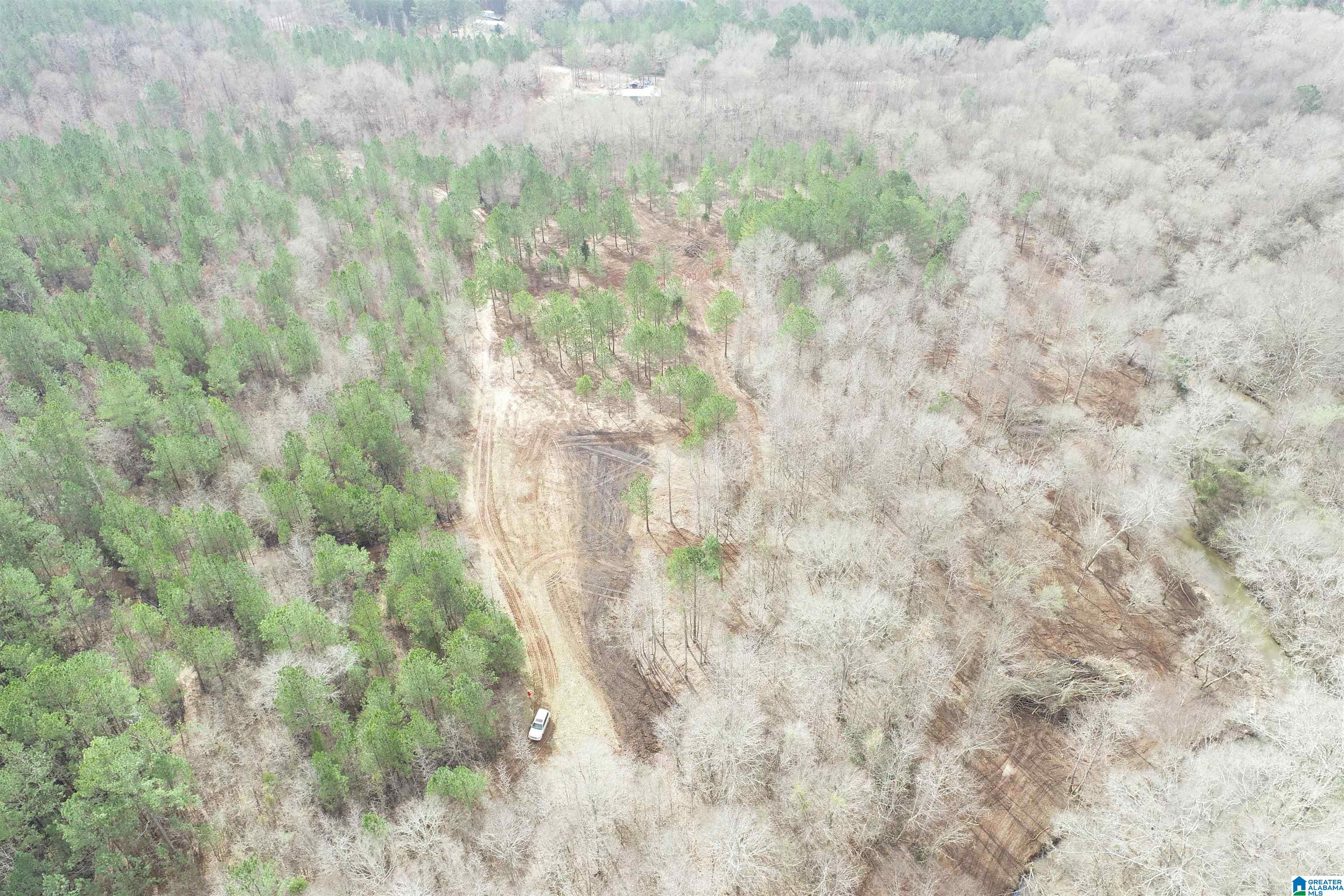 0 County Road 158, Unit 1 Lafayette, AL 36862 - Photo 11 of 19