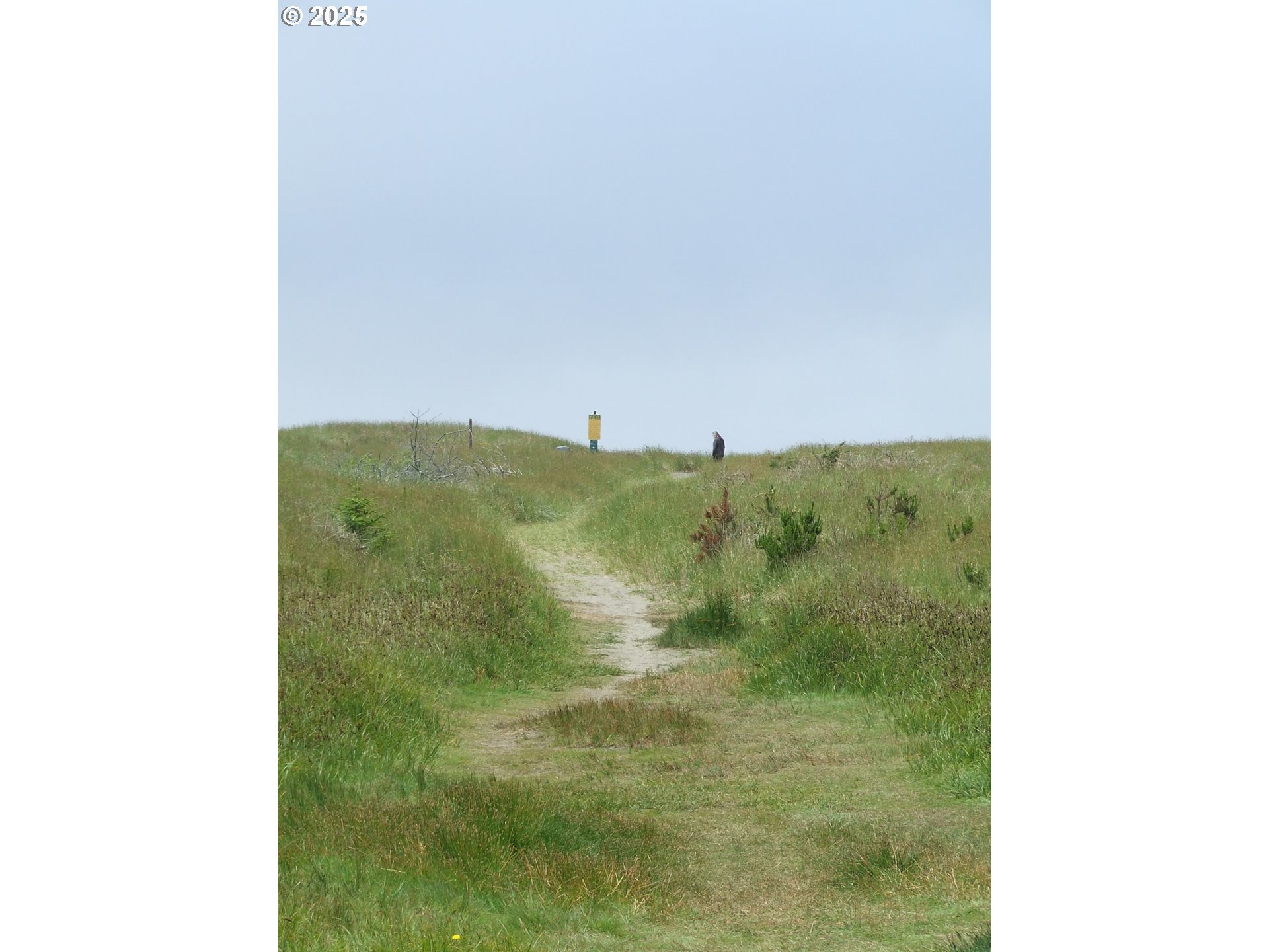 304 Northwest 14th Street Northwest, Unit 207 Raymond, WA 98577 - Photo 39 of 39