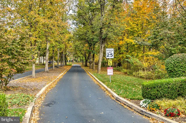 a view of a pathway with a yard