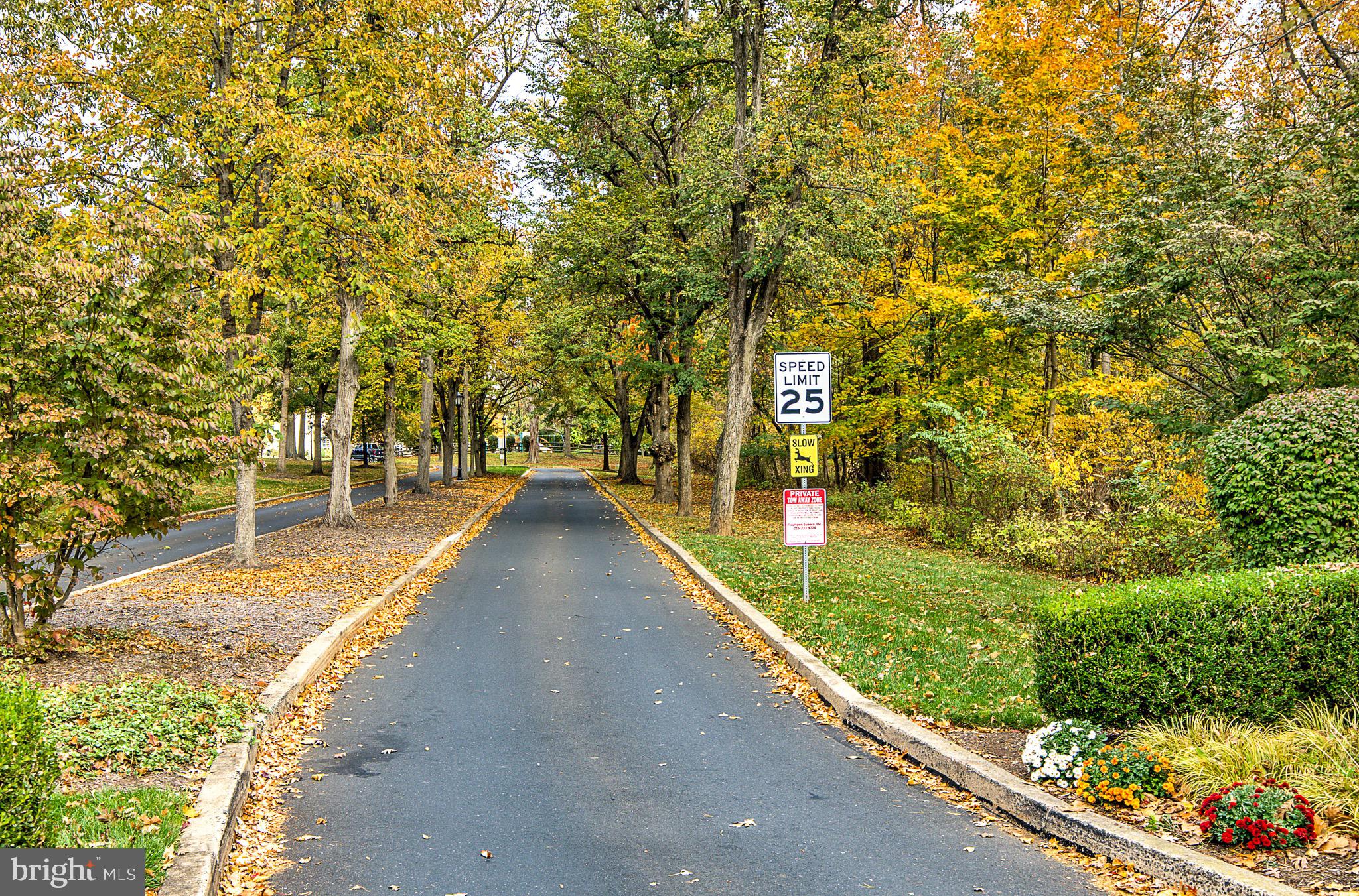 301 Cherokee Circle Ambler, PA 19002 - Photo 3 of 39 a view of a pathway with a yard