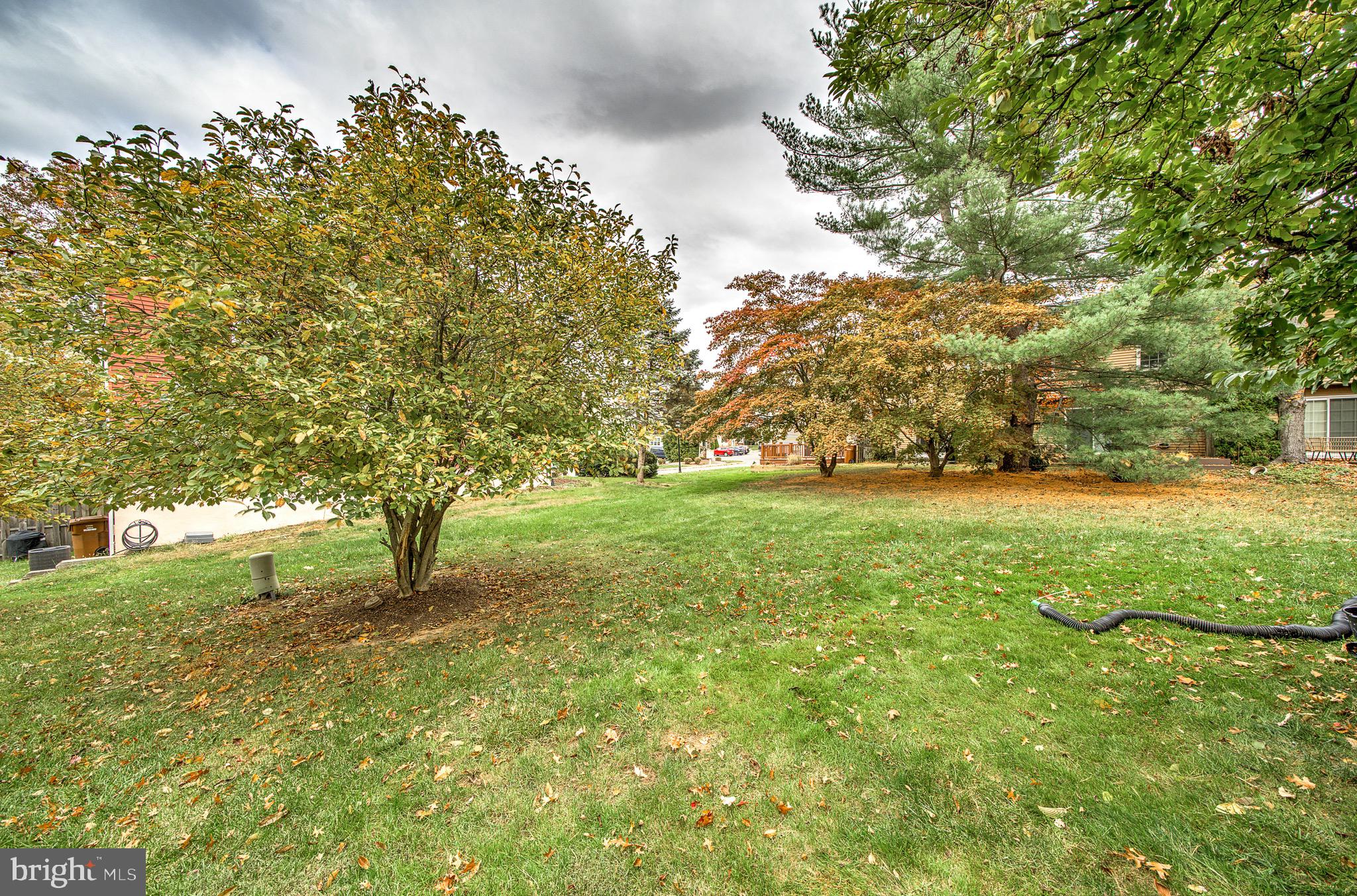 301 Cherokee Circle Ambler, PA 19002 - Photo 37 of 39 a view of yard with green space
