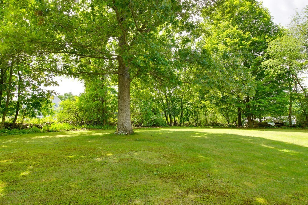 68 Byam Road Chelmsford, MA 01824 - Photo 22 of 24 Gallery Image 22