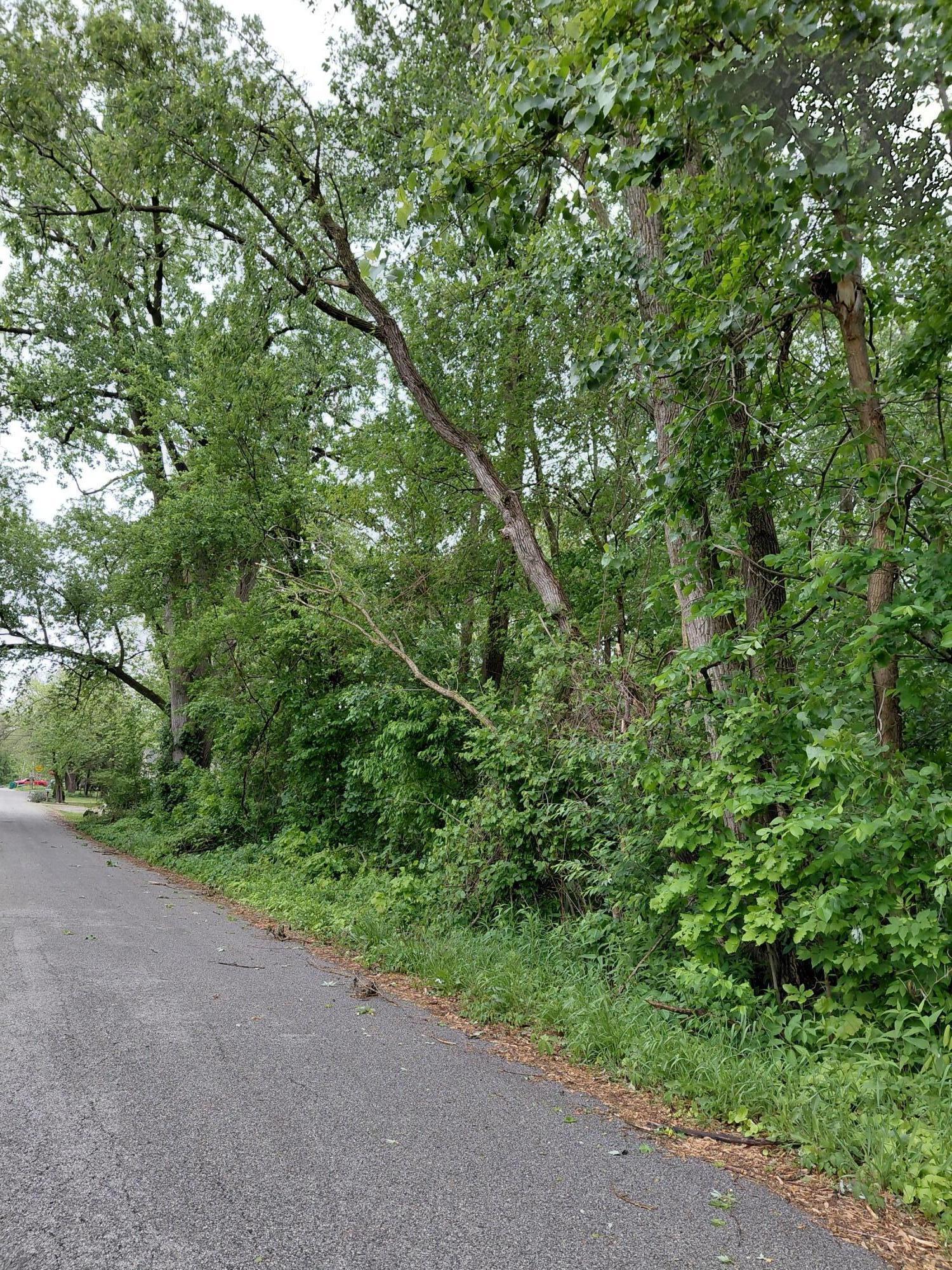5455 Connecticut Street Merrillville, IN 46410 - Photo 2 of 4 a view of a forest with a tree