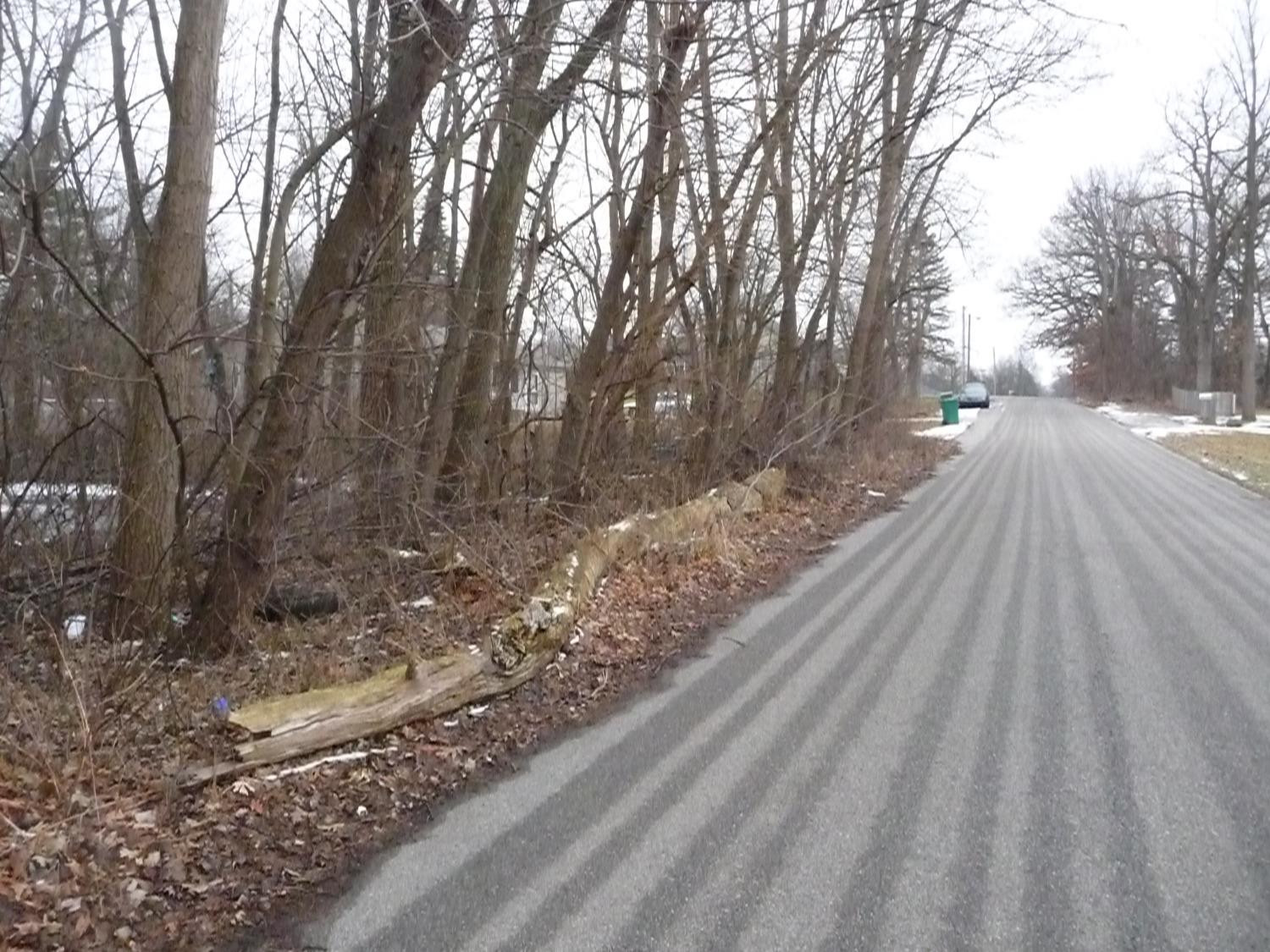 5455 Connecticut Street Merrillville, IN 46410 - Photo 4 of 4 a view of a yard with trees