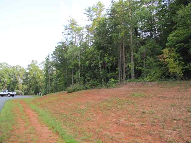 Lot 3 Riversedge Court, Unit RIVERWOOD Seneca, SC 29678 - Photo 2 of 3 Gallery Image 2