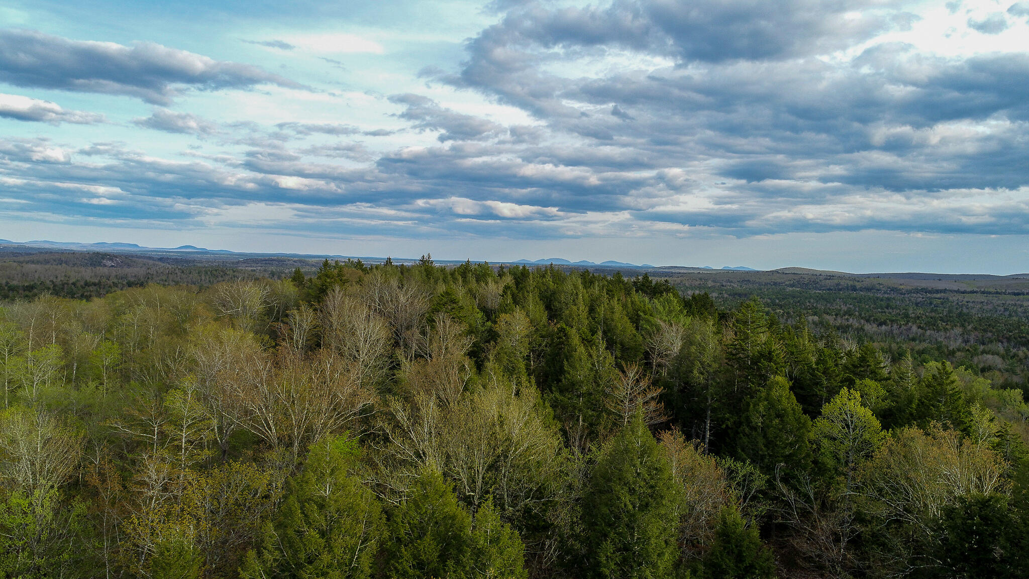 1509 Otis Road Ellsworth, ME 04605 - Photo 8 of 26 DJI_0025-2