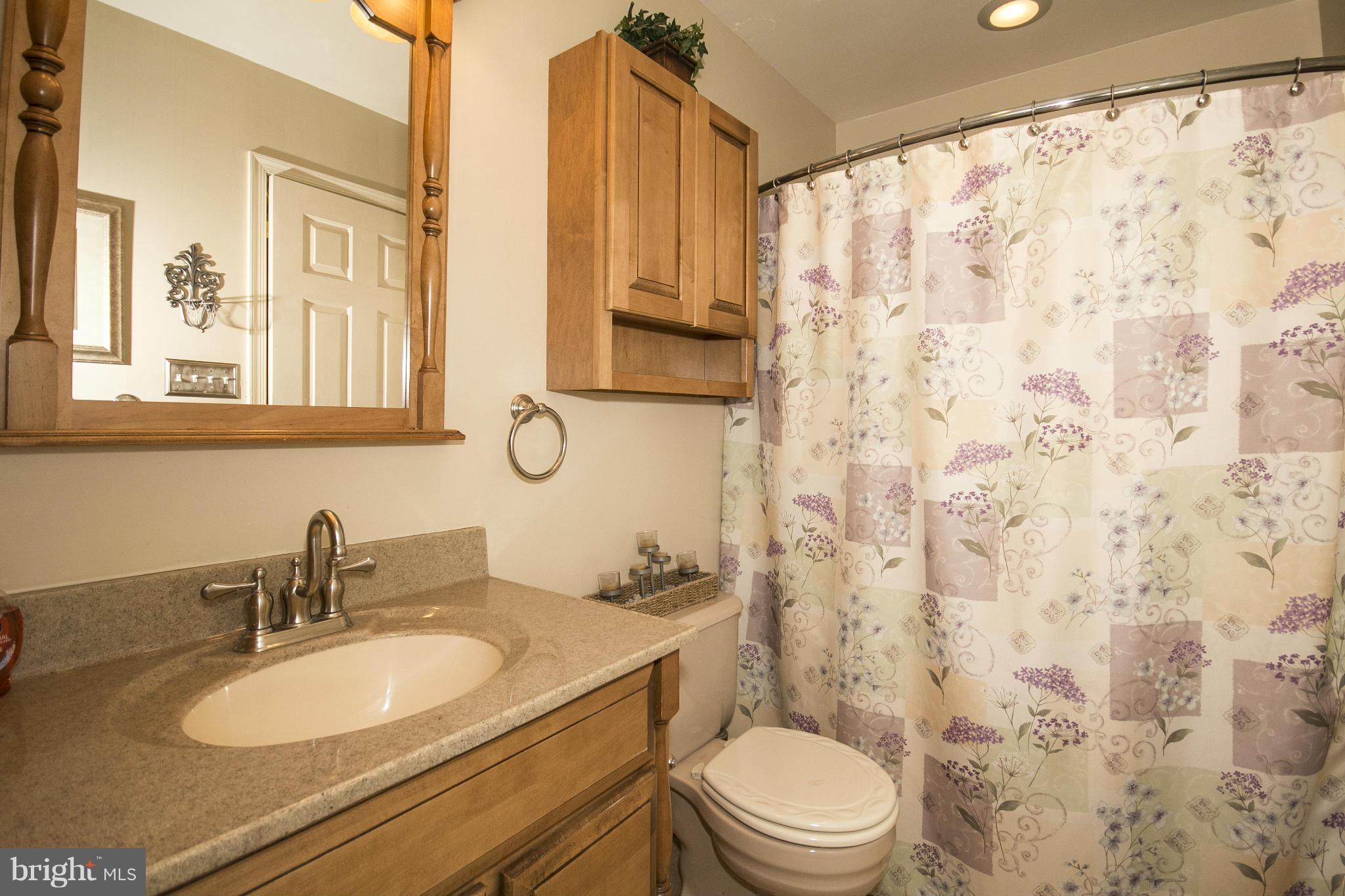 2420 Mt Ventus Road, Unit 1 Manchester, MD 21102 - Photo 18 of 30 Family Bath - 2nd level