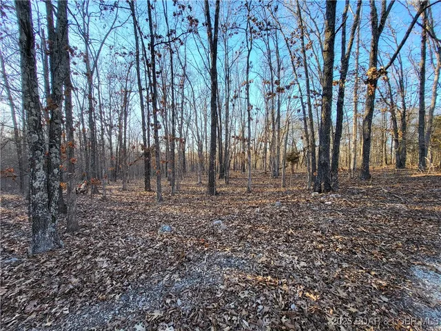 $35,000 | Wenzel Place, Unit 216 217 218, Edwards, MO 65326