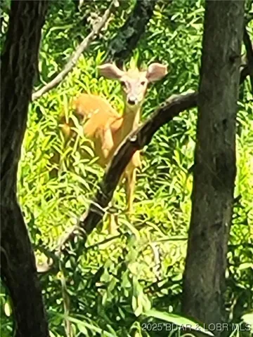 $35,000 | Wenzel Place, Unit 216 217 218, Edwards, MO 65326