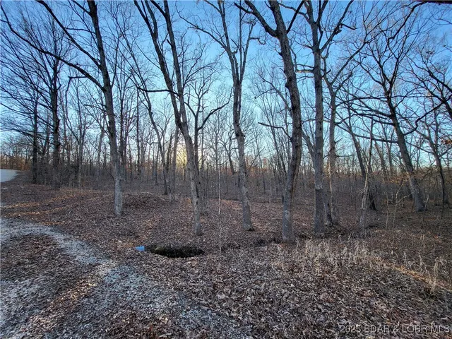 $35,000 | Wenzel Place, Unit 216 217 218, Edwards, MO 65326