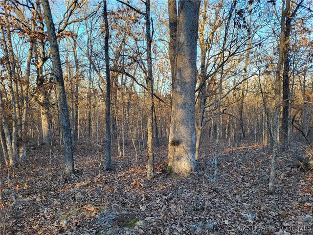 $35,000 | Wenzel Place, Unit 216 217 218, Edwards, MO 65326