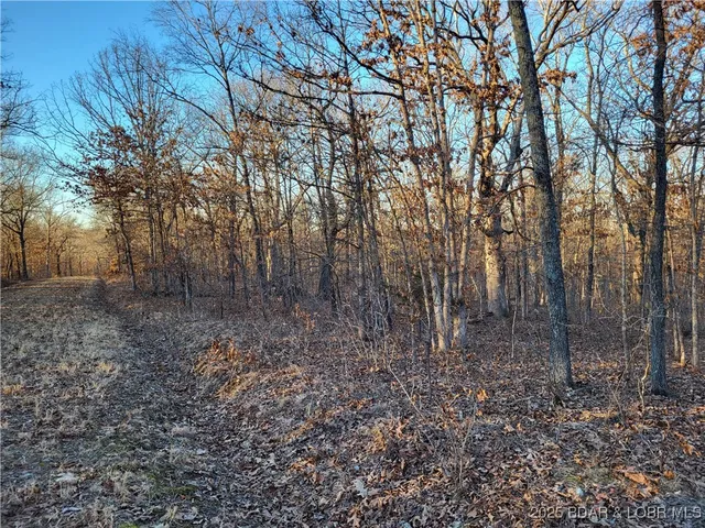 $35,000 | Wenzel Place, Unit 216 217 218, Edwards, MO 65326