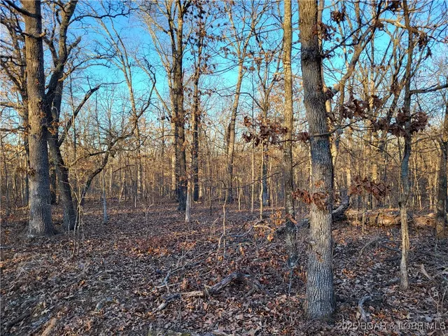 $35,000 | Wenzel Place, Unit 216 217 218, Edwards, MO 65326