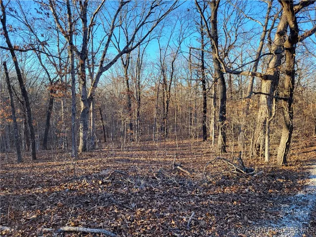 $35,000 | Wenzel Place, Unit 216 217 218, Edwards, MO 65326