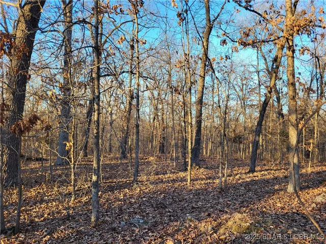 $35,000 | Wenzel Place, Unit 216 217 218, Edwards, MO 65326