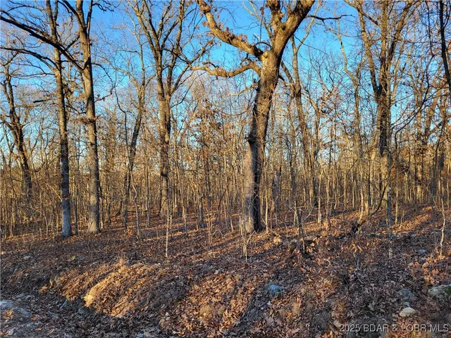 $35,000 | Wenzel Place, Unit 216 217 218, Edwards, MO 65326