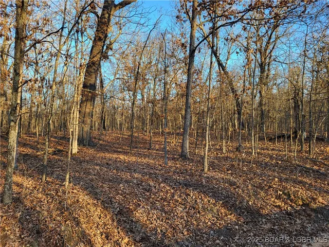 $35,000 | Wenzel Place, Unit 216 217 218, Edwards, MO 65326