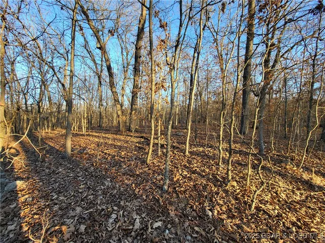 $35,000 | Wenzel Place, Unit 216 217 218, Edwards, MO 65326