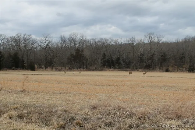 $35,000 | Wenzel Place, Unit 216 217 218, Edwards, MO 65326