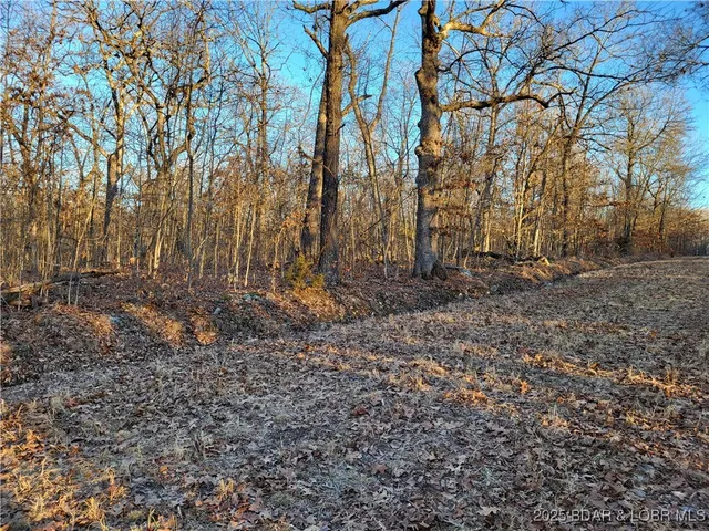 $35,000 | Wenzel Place, Unit 216 217 218, Edwards, MO 65326