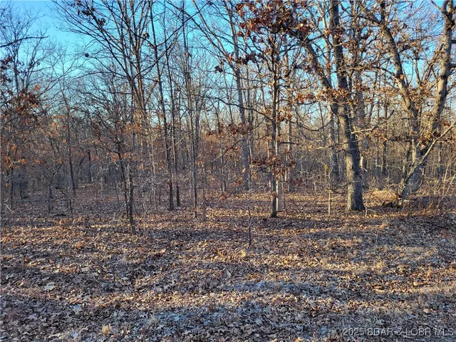 $35,000 | Wenzel Place, Unit 216 217 218, Edwards, MO 65326