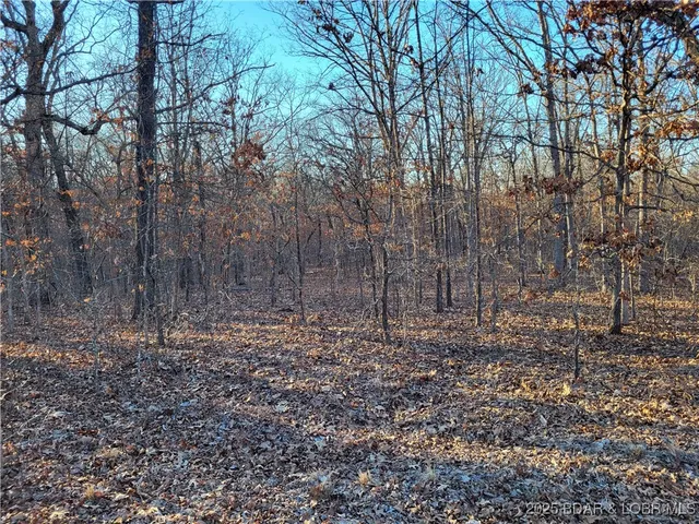 $35,000 | Wenzel Place, Unit 216 217 218, Edwards, MO 65326