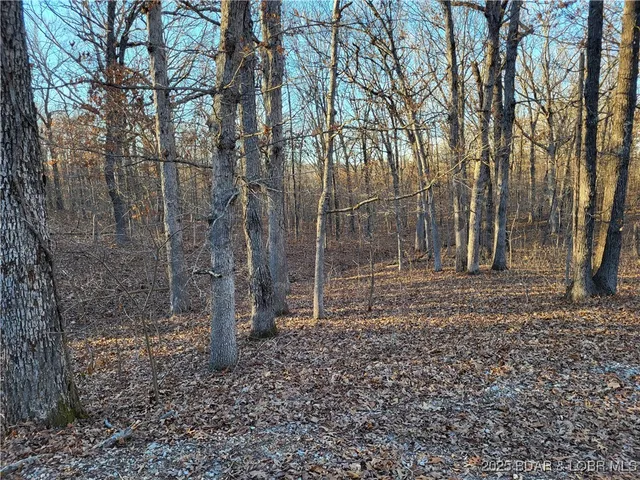 $35,000 | Wenzel Place, Unit 216 217 218, Edwards, MO 65326