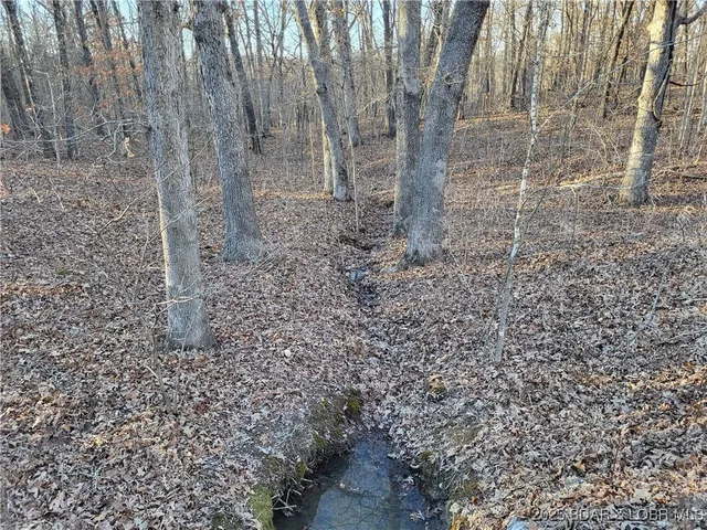 $35,000 | Wenzel Place, Unit 216 217 218, Edwards, MO 65326