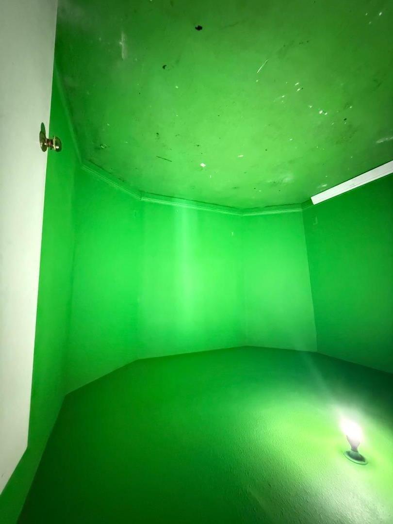 2841 Filbert Street Oakland, CA 94608 - Photo 7 of 8 a view of a big yard