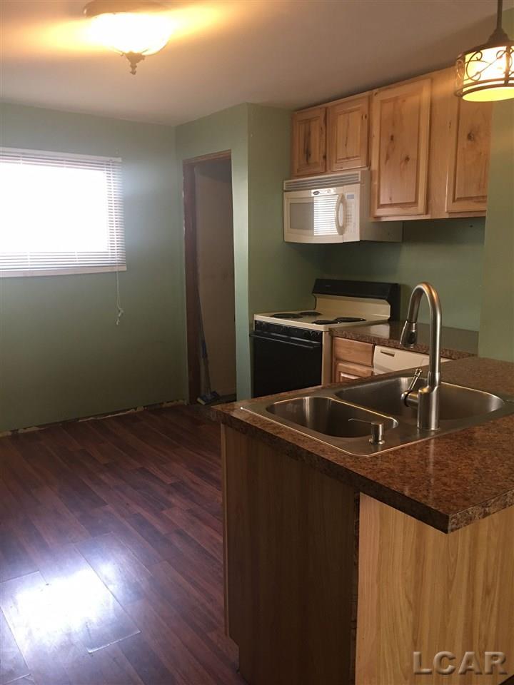 431 Spring Street Adrian, MI 49221 - Photo 3 of 22 31307954-2.JPG