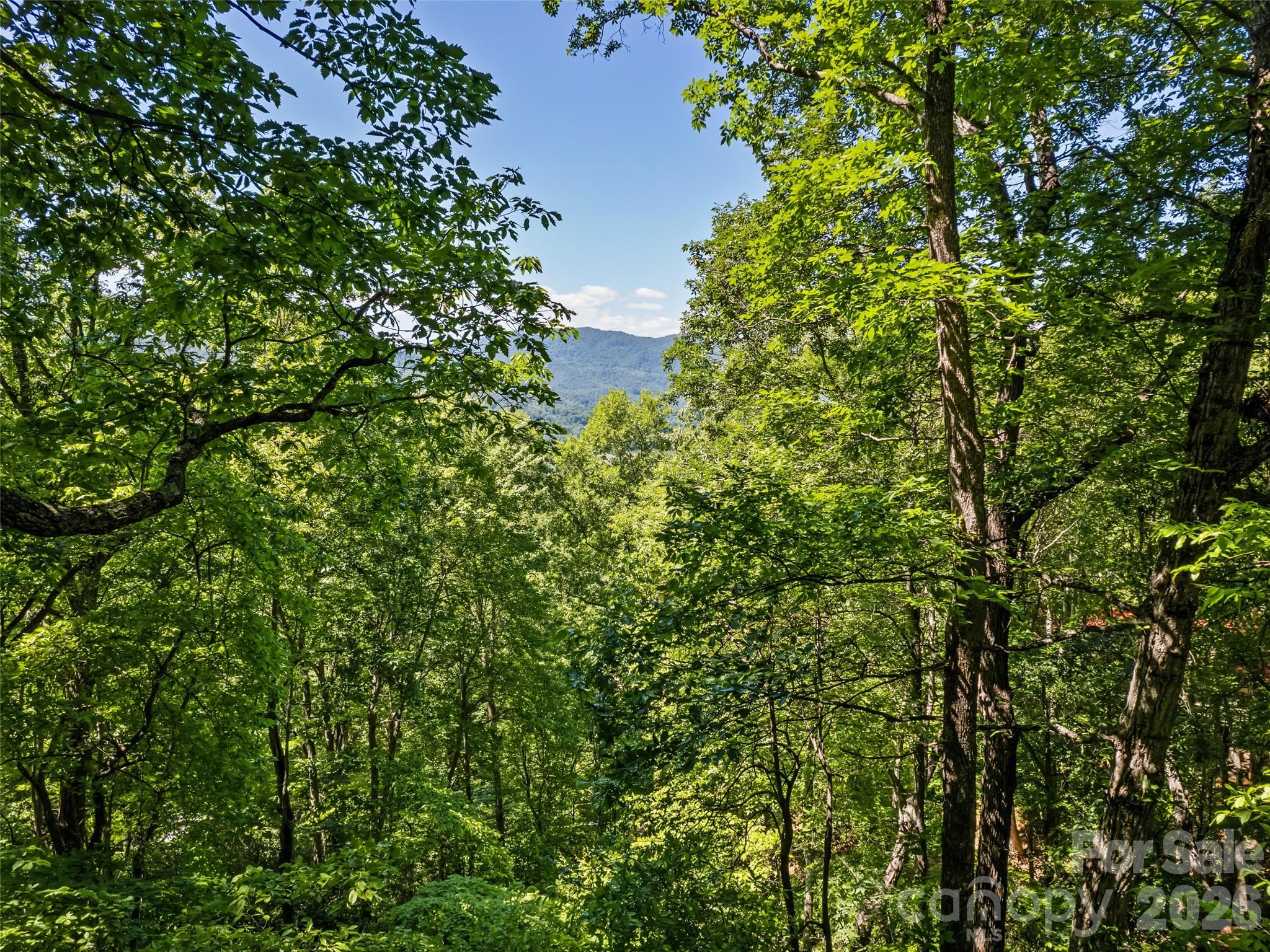 1392 Mt Chalet Road Canton, NC 28716 - Photo 5 of 34