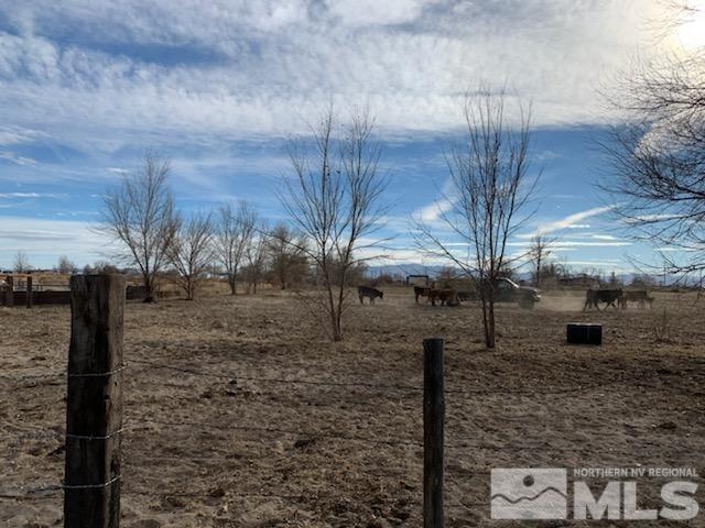 2975 Lone Tree Road Fallon, NV 89406 - Photo 23 of 26 a backyard of a building