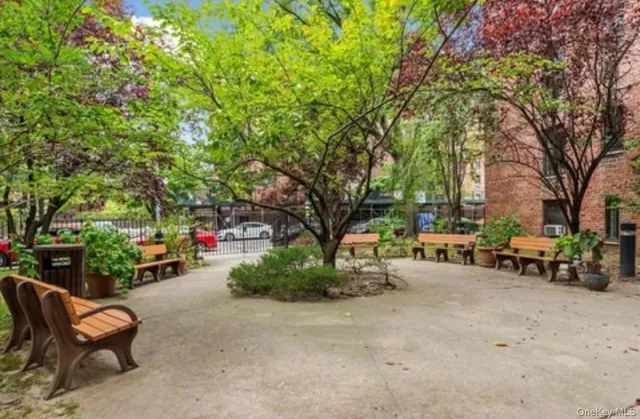 a view of a park with bench and trees