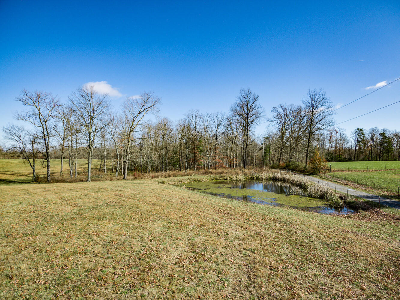 1165 Lloyd Hall Loop Deer Lodge, TN 37726 - Photo 22 of 40 22_MAX_0030_HDR_mls