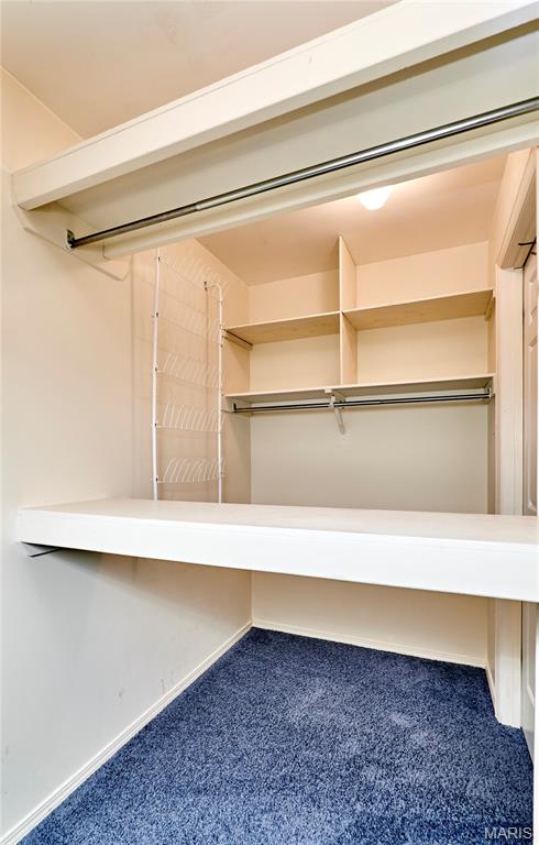 14628 Big Timber Lane Chesterfield, MO 63017 - Photo 46 of 64