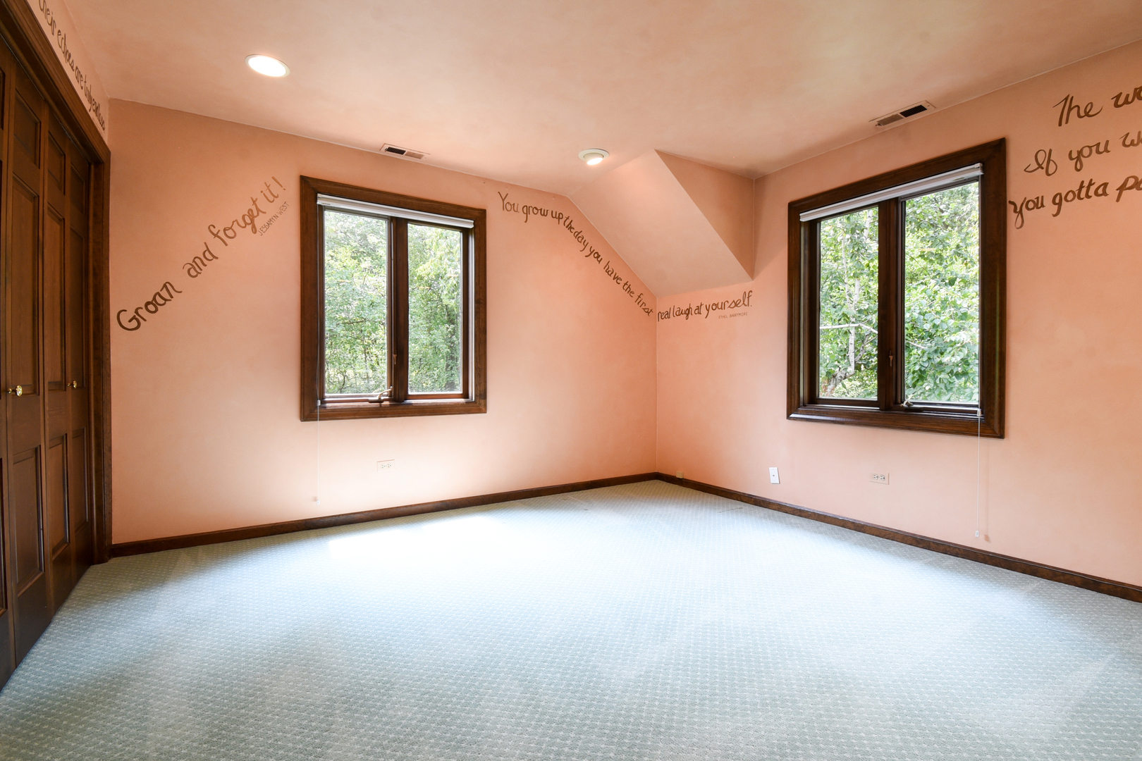 46 Ramsgate Drive Palos Park, IL 60464 - Photo 25 of 46 an empty room with windows and closet